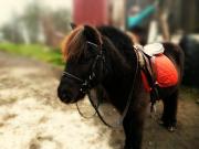 MacchuPicchu